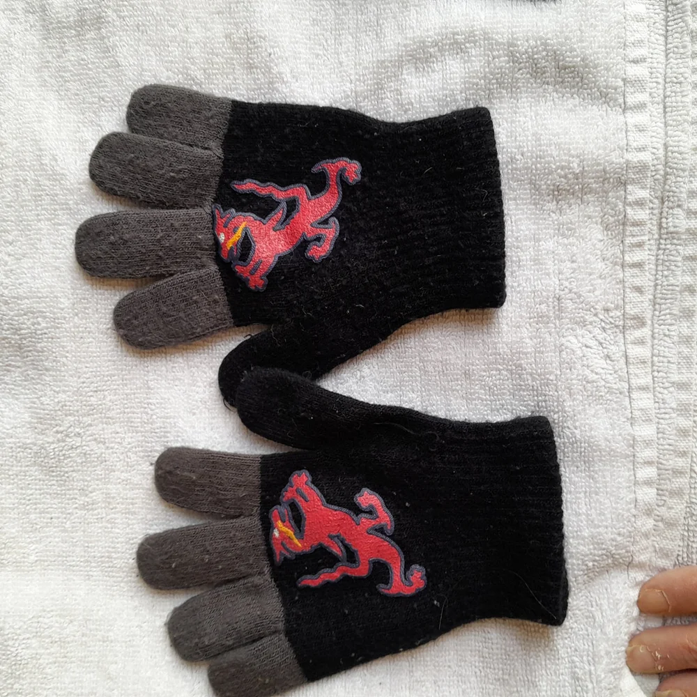 Boys Hat and Gloves Set